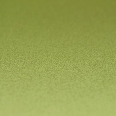 Фото – обои Rasch Prego 2 2019 469035 || Rasch Prego 2 2019 469035