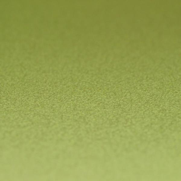 Фото Rasch Prego 2 2019 469035