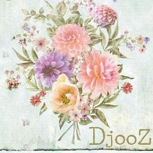Djooz 2 2020