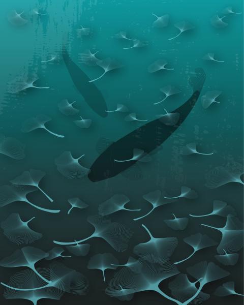 Komar V4-759 (Ginkgo)