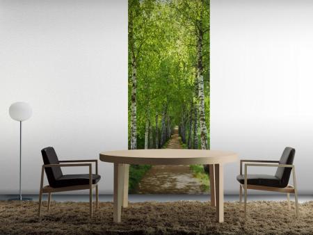 Komar 2-1717 (Birkenallee)