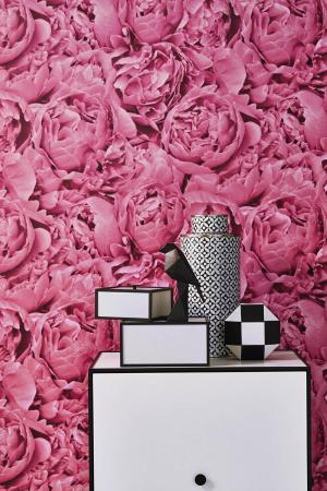 Фото – обои Rasch Freundin III 464245 || Rasch Freundin III 464245