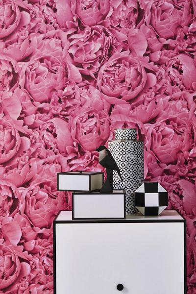 Фото Rasch Freundin III 464245