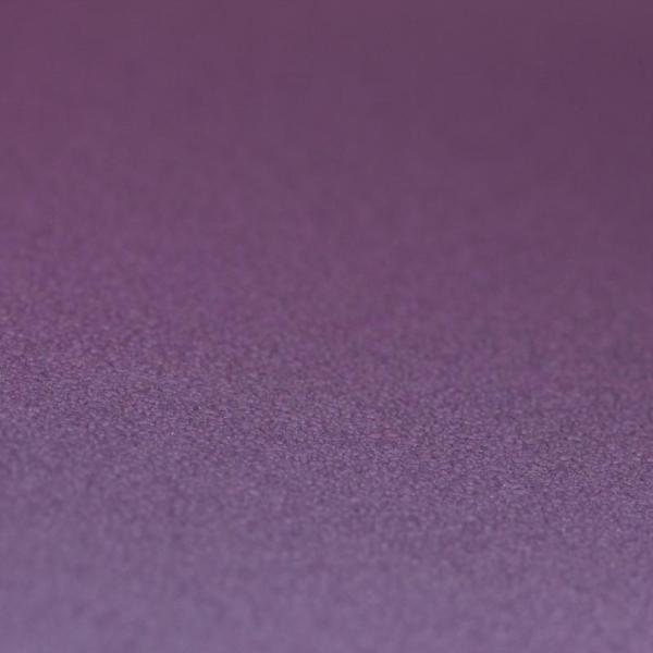 Фото Rasch Prego 2 2019 740301