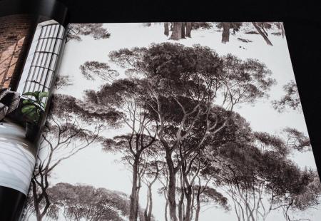 Фото – обои A.S.Creation History of Art 37651-1 || A.S.Creation History of Art 37651-1