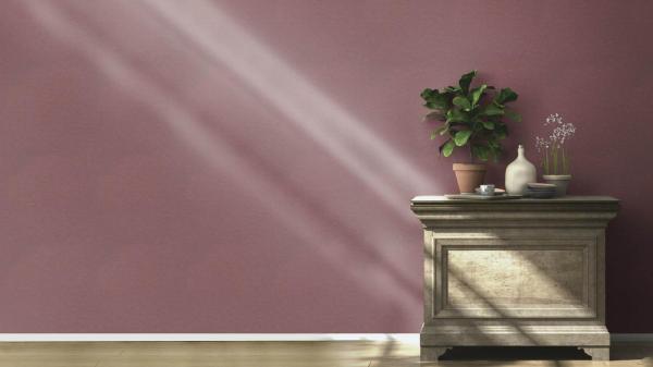 Фото Rasch Freundin III 466133