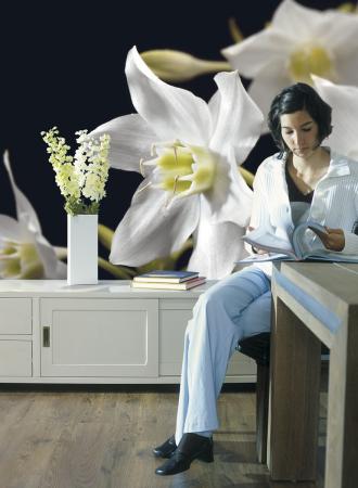 Komar 4-259 (Madonna)