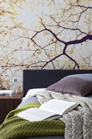 Komar V5-752 (Sunshine)