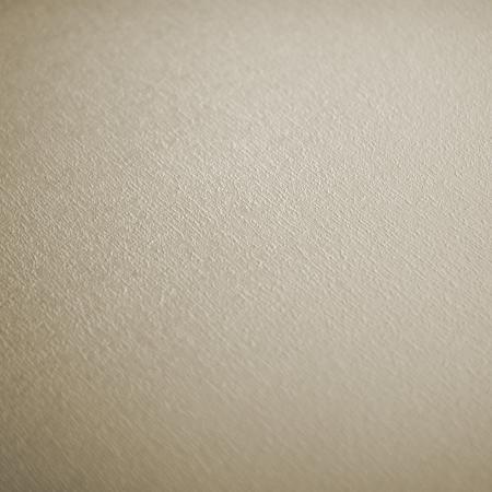 Фото – обои P+S International Deluxe by GMK 41000-70 || P+S International Deluxe by GMK 41000-70