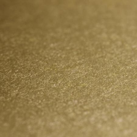 Фото – обои Rasch Emilia 501162 || Rasch Emilia 501162