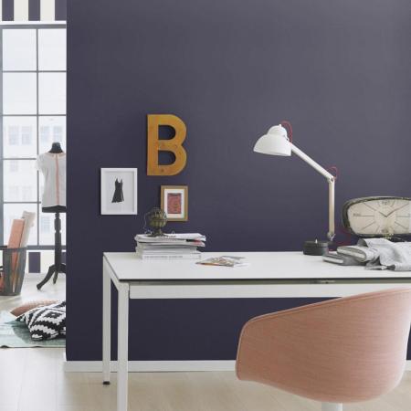 Rasch Prego 2 2019 700367