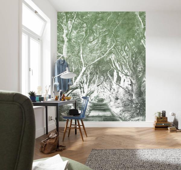 Komar 6024B-VD2 (Alley Graphite)