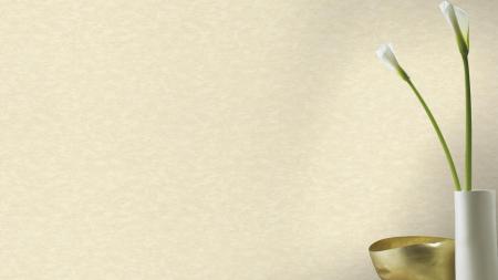 Фото – обои Rasch Filigrano 964813 || Rasch Filigrano 964813