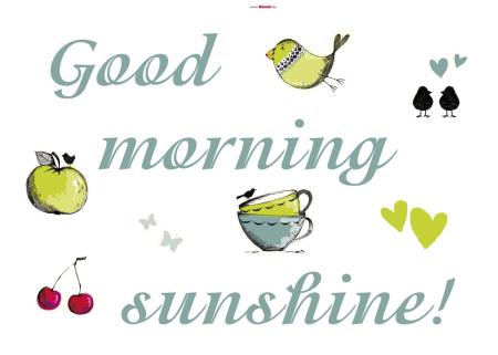 Komar 17046h (Sunshine)