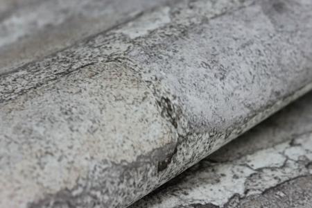 Фото – обои Rasch Salsa 480535 || Rasch Salsa 480535