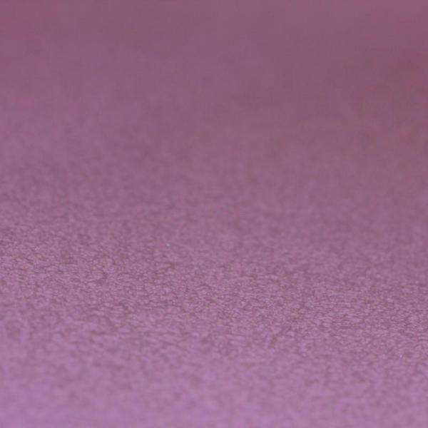 Фото Rasch Prego 2 2019 740189