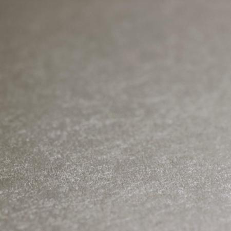 Фото – обои Rasch Emilia 501131 || Rasch Emilia 501131