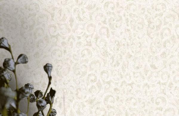 Фото Marburg Padua 57328