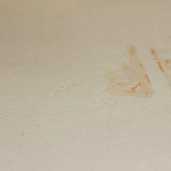 A.S.Creation New Look 1646-67