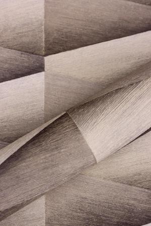 Rasch Composition 554649