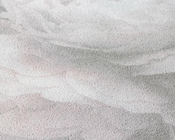 Фото A.S.Creation New Walls 2022 37392-3