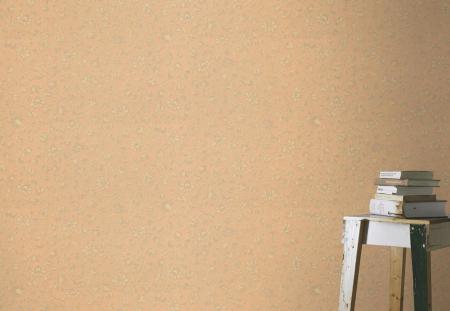 Фото – обои Rasch Trianon XII 532456 || Rasch Trianon XII 532456