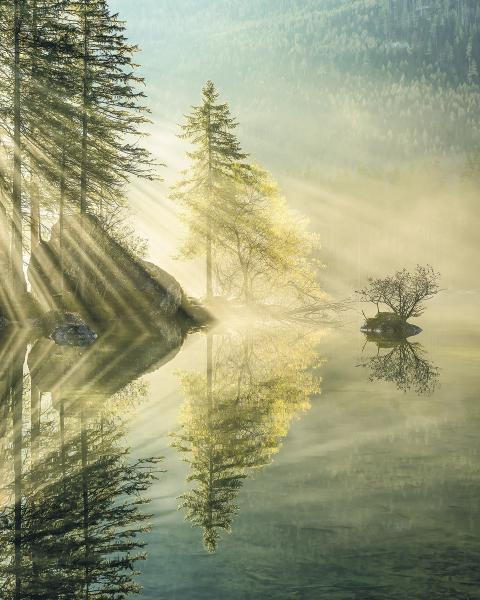 Komar SH018-VD2 (Indulgence of Beauty)