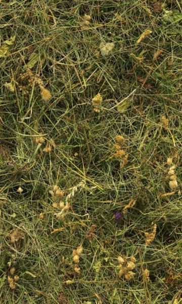 Komar V3-748 (Bergheu)