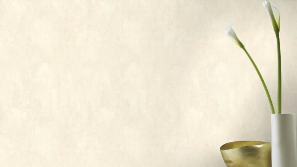 Фото Rasch Ylvie 802115