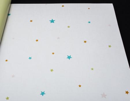 Фото – обои Rasch Bambino 2018 245219 || Rasch Bambino 2018 245219