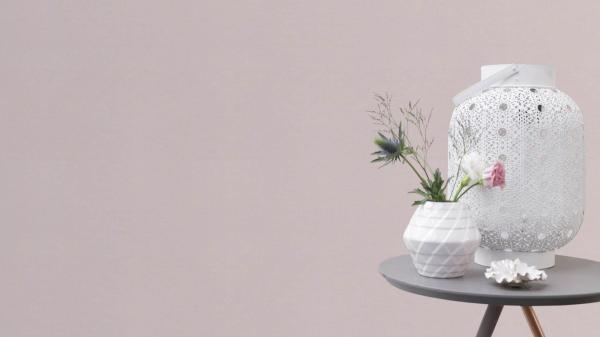 Фото Rasch Freundin III 464054