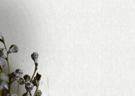 Фото – обои A.S.Creation Meistervlies 6 35429-1 || Фото – шпалери A.S.Creation Meistervlies 6 35429-1