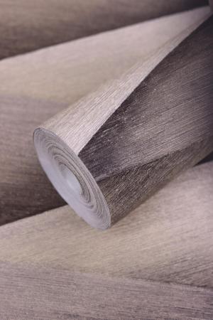 Rasch Composition 554649