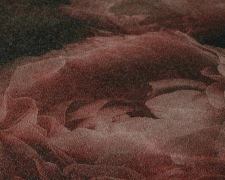 Фото – обои A.S.Creation New Walls 2022 37392-4 || A.S.Creation New Walls 2022 37392-4