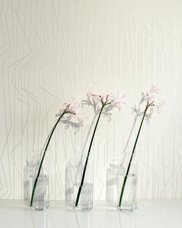 Фото – обои A.S.Creation Emotion Graphic 36878-3 || A.S.Creation Emotion Graphic 36878-3