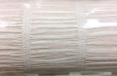 Rasch Maximum 190649