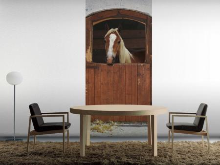 Komar 2-1202 (Pferd)