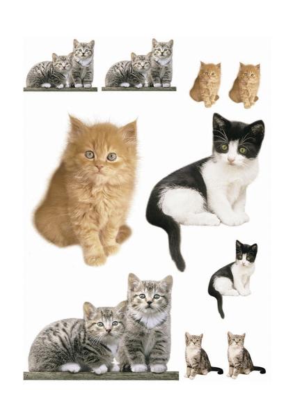 Komar 17010h (Kitty)