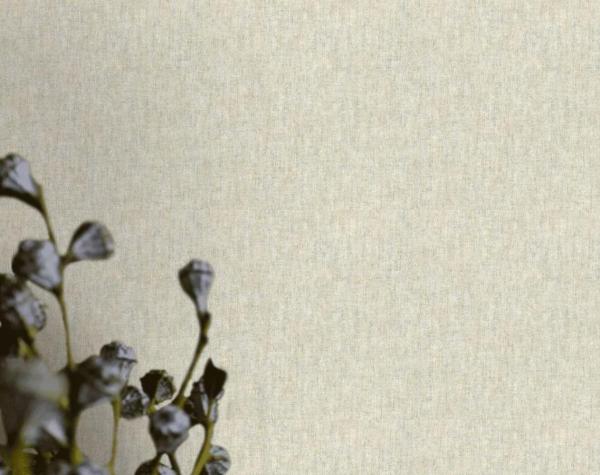 Фото – обои Rasch Axiom 917048