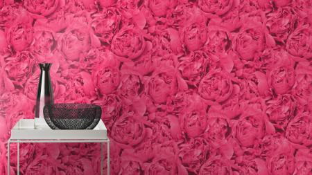 Фото – обои Rasch Freundin III 464245 || Rasch Freundin III 464245