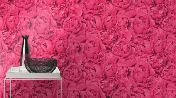 Фото Rasch Freundin III 464245