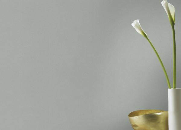 Фото Rasch Passepartout 607260