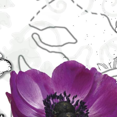 Komar 8-887 (Purple)