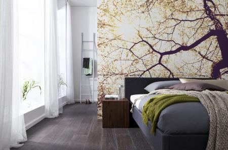 Komar V5-752 (Sunshine)