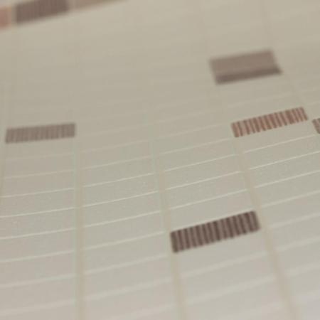 Фото – обои A.S.Creation Simply Decor 6077-20 || A.S.Creation Simply Decor 6077-20