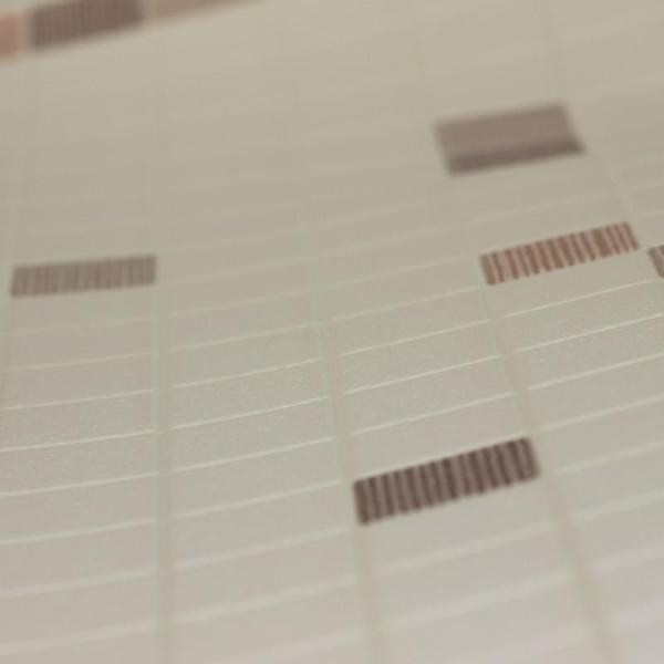 Фото A.S.Creation Simply Decor 6077-20