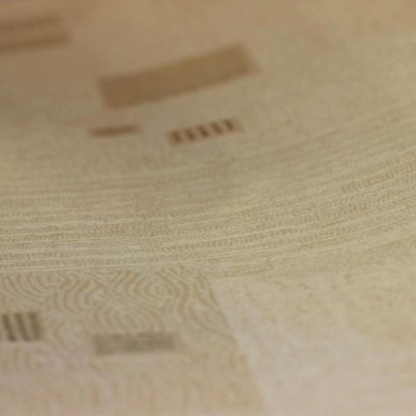 A.S.Creation New Look 33921-4