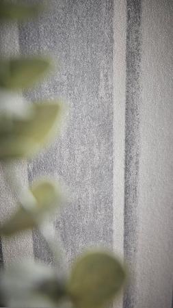 Rasch Linares 617788