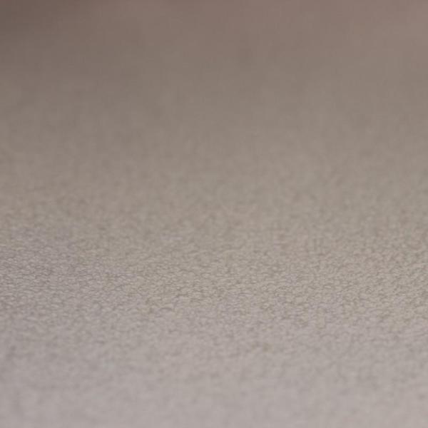 Фото Rasch Prego 2 2019 469127