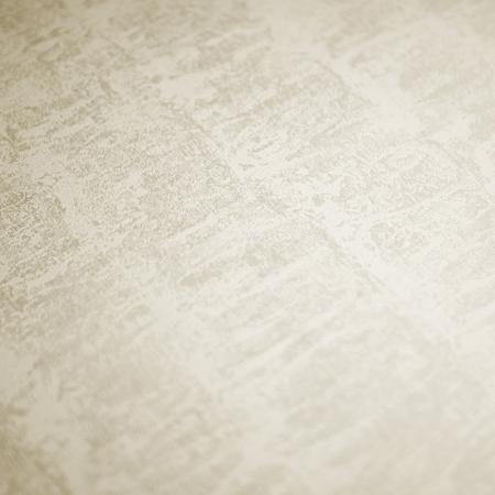 Фото – обои P+S International Deluxe by GMK 41001-20 || P+S International Deluxe by GMK 41001-20